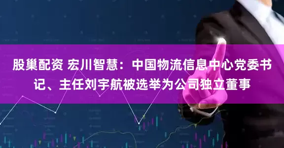 股巢配资 宏川智慧：中国物流信息中心党委书记、主任刘宇航被选举为公司独立董事
